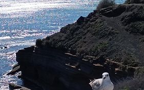 Au Cap !